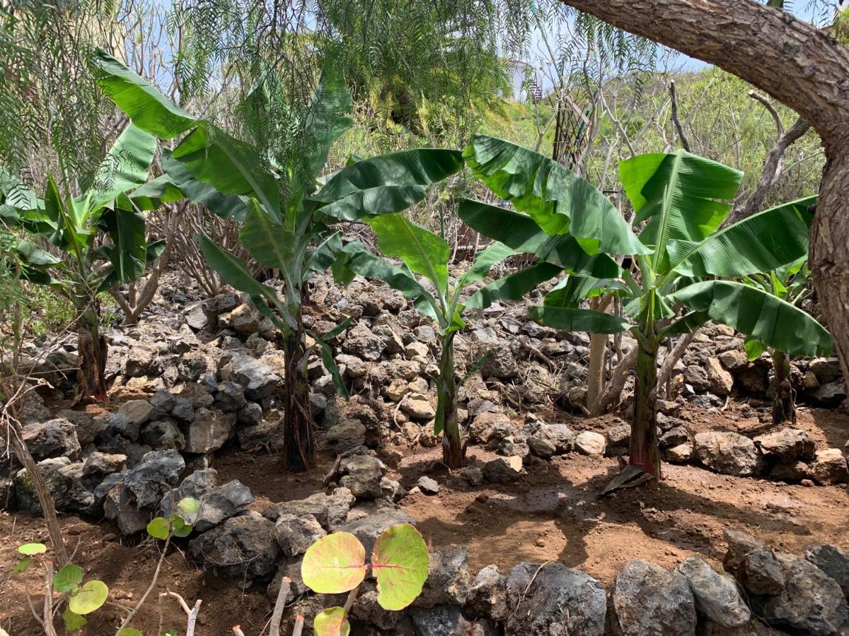 Bella Vista - Finca Tabaiba Icod De Los Vinos Esterno foto